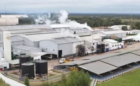 Fleischexporteur FriCon: Moody’s senkt Ausblick auf “Negativ“