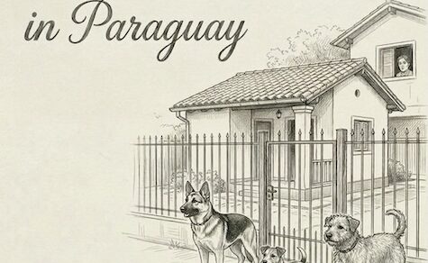 Sicherheit in Paraguay: Klarheit statt Panik – Ein Rückblick auf den Info-Abend