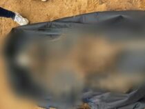 Rätselhafte Knochen auf einer Estancia im Chaco: Staatsanwaltschaft jagt die Spur eines vergessenen Toten