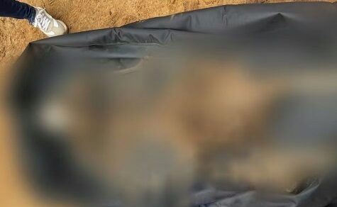 Rätselhafte Knochen auf einer Estancia im Chaco: Staatsanwaltschaft jagt die Spur eines vergessenen Toten