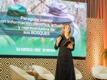 Waldinventar 2026: Wenn Wissenschaft auf indigenes Urwissen trifft