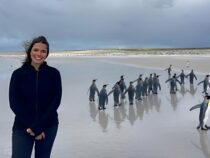 Ferne Horizonte: Eine Reise zu den Falklandinseln