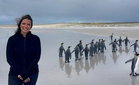 Ferne Horizonte: Eine Reise zu den Falklandinseln