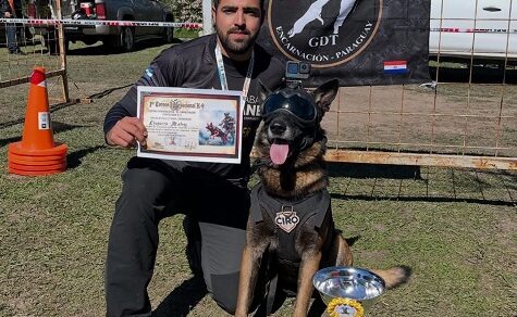 Spürnase und Mut: Wie ein deutscher Schäferhund zum internationalen Champion wurde