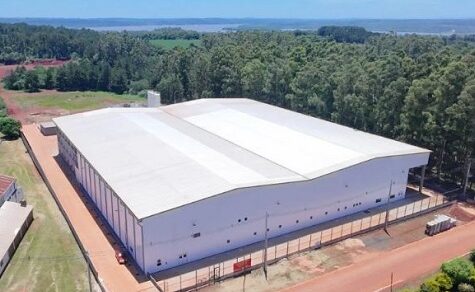 600 neue Jobs durch patagonische Riesen-Garnelen: Ein Land ohne Meer wird zum Seafood-Exporteur
