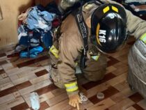 Giftiges Schwermetall im Zimmer: Warum ein altes Thermometer zum Feuerwehreinsatz führen kann