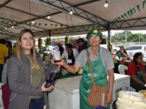 Von deutschen Nachbarn gelernt: Handgemachter Wein rettet paraguayische Traubenernte