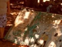 Abgefangen im Cockpit: Das mysteriöse Verschwinden einer Cessna im Jahr 1991