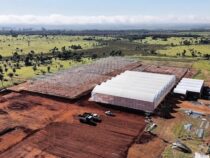 Unternehmen in Nueva Italia will mit einem 20 Hektar großen Hydrokultur-Agropark zum neuen Zentrum für Gartenbau in Südamerika werden