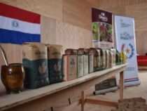 Paraguays grünes Gold erobert Europa: Bio-Mate bald in 30 Ländern erhältlich