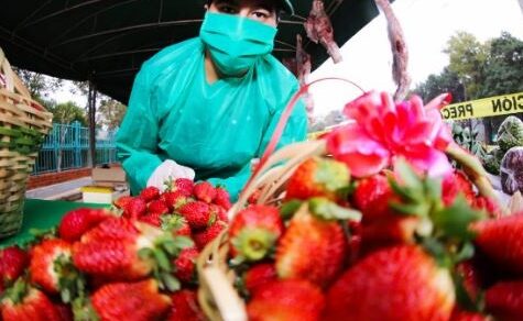 Teurer Genuss: Warum Verbraucher für die ersten Erdbeeren der Saison tief in die Tasche greifen müssen