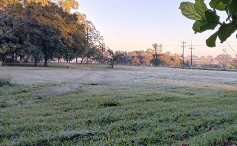 Eiszeit im Tropenparadies! Paraguay bricht den Kälterekord des Jahres, während Deutschland glüht