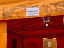 Niemand bleibt in der Kälte! Paraguay baut erste Winter-Zelte für die Haustiere von Obdachlosen
