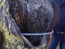 Angriff im Friseursalon: Täter flieht nach Klebstoff-Attacke über die Grenze