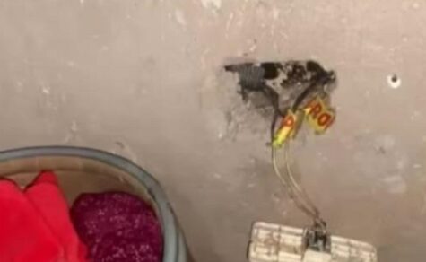 Tragischer Tod in San Antonio: Einjährige stirbt nach Stromschlag im eigenen Zuhause