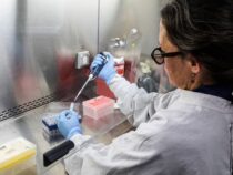 Machtloses Penicillin: Wissenschaftler schlagen Alarm wegen mutierter Krankenhauskeime