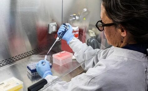 Machtloses Penicillin: Wissenschaftler schlagen Alarm wegen mutierter Krankenhauskeime
