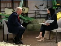 Stimmenauszählung in Kalifornien: Trump bricht Live-Interview nach Bitte um Beweise für Betrugsvorwürfe ab