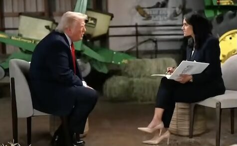 Stimmenauszählung in Kalifornien: Trump bricht Live-Interview nach Bitte um Beweise für Betrugsvorwürfe ab