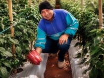 Es ist eben nicht nur Paprika