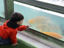 Kreislaufwirtschaft in Campo 9: Wie das Unternehmen Hildebrand die Fischzucht landesweit vorantreibt