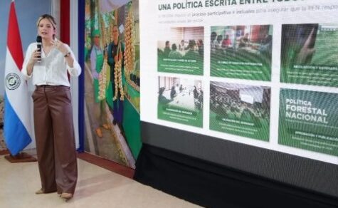 Produktion trifft Naturschutz: Der historische Masterplan für Paraguays grüne Zukunft