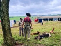 Ein Jaguar ist auf der Jagd – Einwohner der betroffenen Region leben nun in großer Angst
