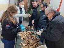 Was hat es mit gefundenen Knochenresten im Ex-Tacumbú Gefängnis auf sich?