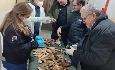 Was hat es mit gefundenen Knochenresten im Ex-Tacumbú Gefängnis auf sich?