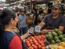 Paraguay zwischen Mercado und Smartphone: Der digitale Wandel zeigt sich dort, wo ihn kaum jemand erwartet