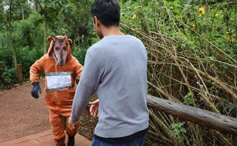 Itaipú-Umweltzentrum: Erfolgreiche Sicherheitsübung simuliert Ausbruch eines Tapirs