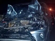 Kuh auf der Straße verursachte schweren Unfall in Caazapá: Deutschstämmiger wurde Opfer