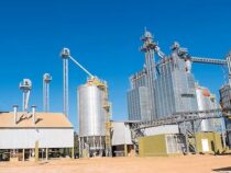 Rekord im Export: Paraguay liefert Biodiesel für 5,5 Millionen USD nach Singapur