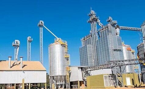 Rekord im Export: Paraguay liefert Biodiesel für 5,5 Millionen USD nach Singapur