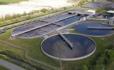 Erneuerbare Energien in der Viehzucht: Biogasanlagen nutzen Gülle zur Stromgewinnung