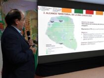 Chaco-Chancen 2026: Warum Boquerón der neue Maßstab für Paraguays Viehzucht ist