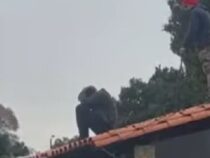 Schlafenszeit statt Beutezug: Einbrecher schläft auf dem Dach ein und wacht in Handschellen auf