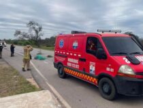 Fahrerflucht nach Todesdrama: Polizei ermittelt nach Fund einer Leiche im Chaco