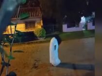 Nächtliche Märsche zum Friedhof: Anwohner filmen rätselhafte Frauen