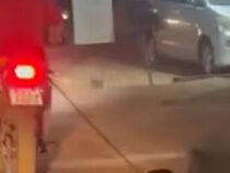 Grausamer Vorfall in Paraguay: Passant rettet völlig entkräfteten Hund vor Motorradfahrer