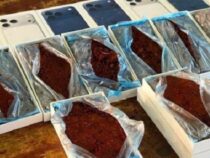Betrugsmasche am Dreiländereck: Zoll beschlagnahmt Lieferwagen mit Erde statt Smartphones