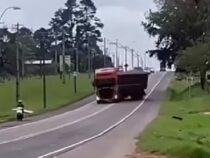Alles für die Klicks auf TikTok? Glauben manche Lkw-Fahrer wirklich, das sei ein Spiel?