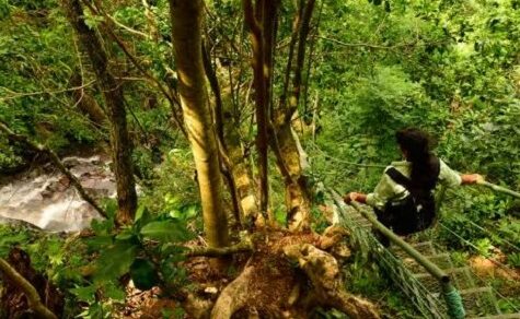 Justiz trifft Naturschutz: Grünes Abkommen zur Bewahrung von 64.000 Hektar Reservat