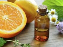 Rohstoff für Luxusparfüms: Kleinbauern wollen Produktion von ätherischen Ölen steigern