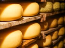 Vom Handbetrieb zur automatisierten Linie: Wann sich für regionale Lebensmittelproduzenten der Umstieg lohnt