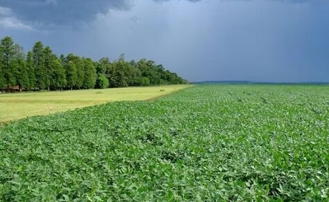 Dunkle Wolken über Südamerika: Weltbank stuft Paraguay als Top-Risiko-Zone für El Niño ein