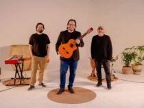 Sting trifft paraguayische Folklore: Dieser Konzertabend sprengt alle Genre-Grenzen