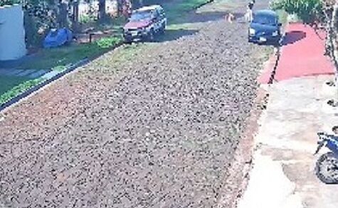Nach Attacke im Wohngebiet: Polizei fahndet nach Halter eines aggressiven Hundes