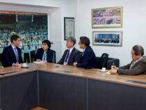 Milliarden-Chance für die Forstwirtschaft: Warum Tokio jetzt auf Eukalyptus aus Paraguay setzt
