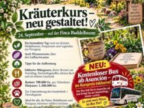 Entdecken Sie die Geheimnisse der Natur: Der neu gestaltete Kräuterkurs auf der Finca Buddelboom